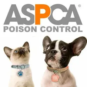 ASPCA Animal Poison Control Center